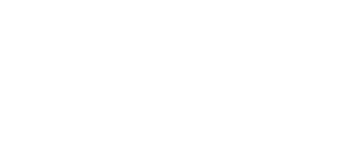 SpaceX Logo